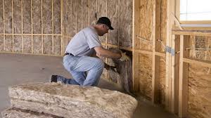 Best Basement Insulation  in USA